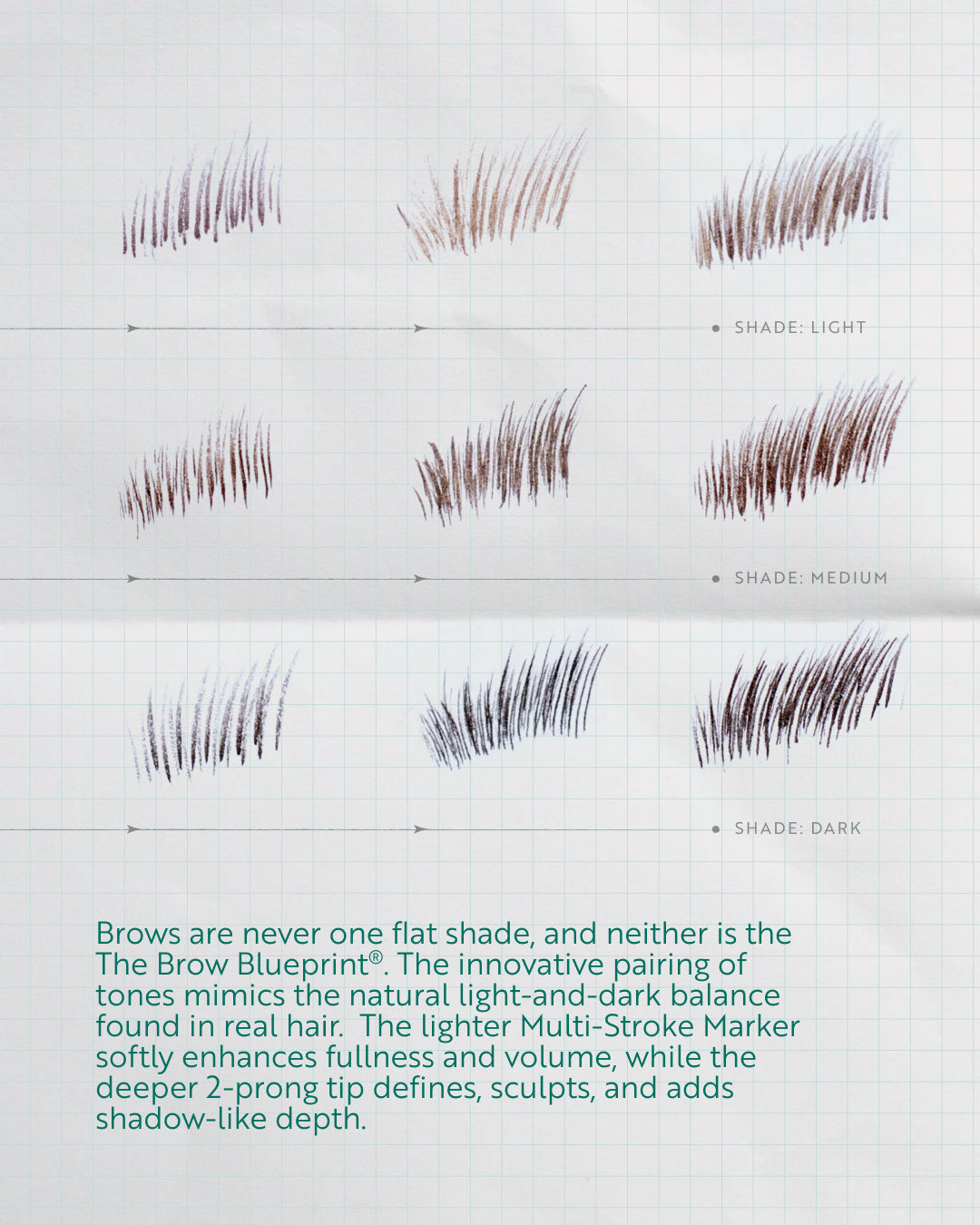 The Brow Blueprint®