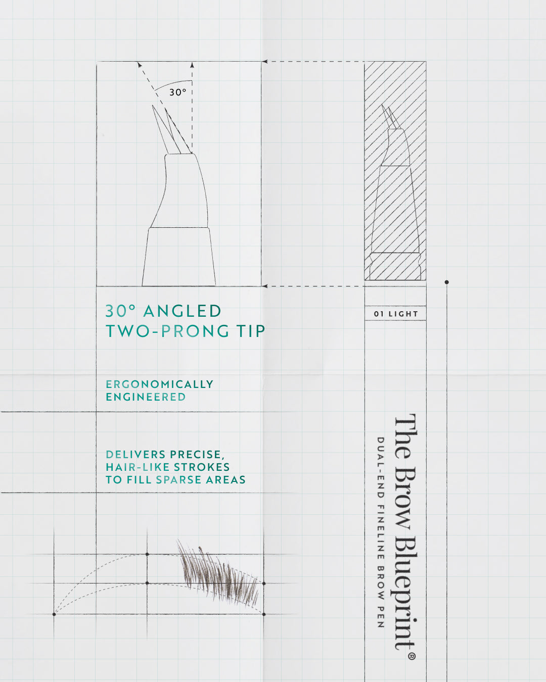The Brow Blueprint®