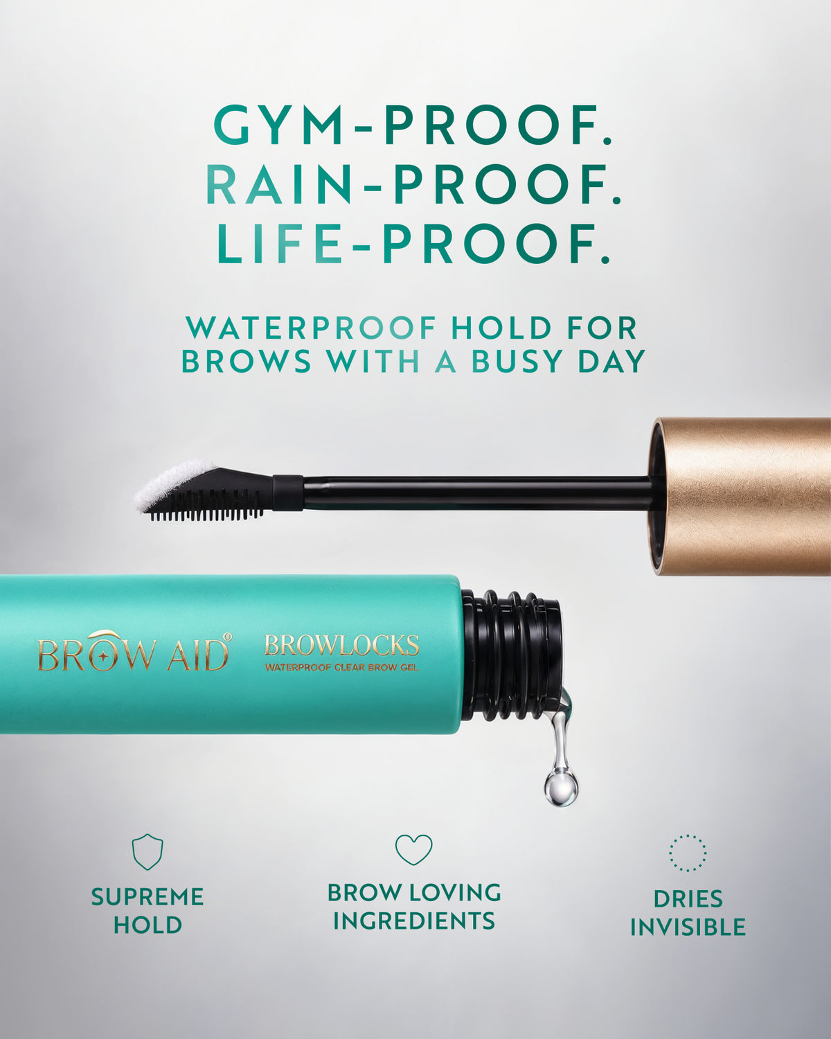 The Brow Duet