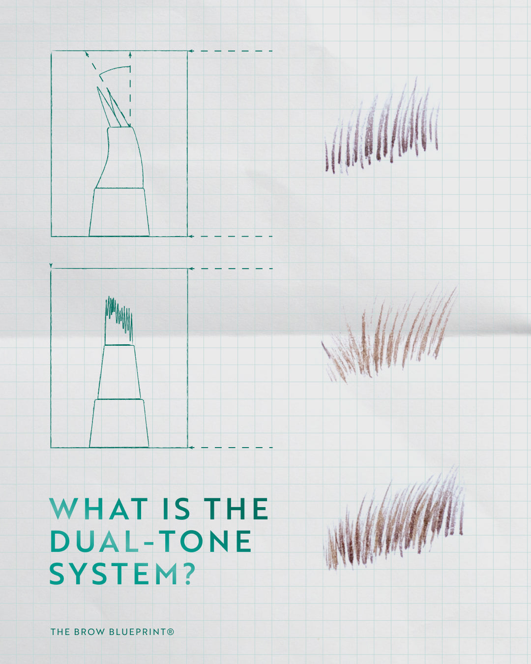 The Brow Blueprint®