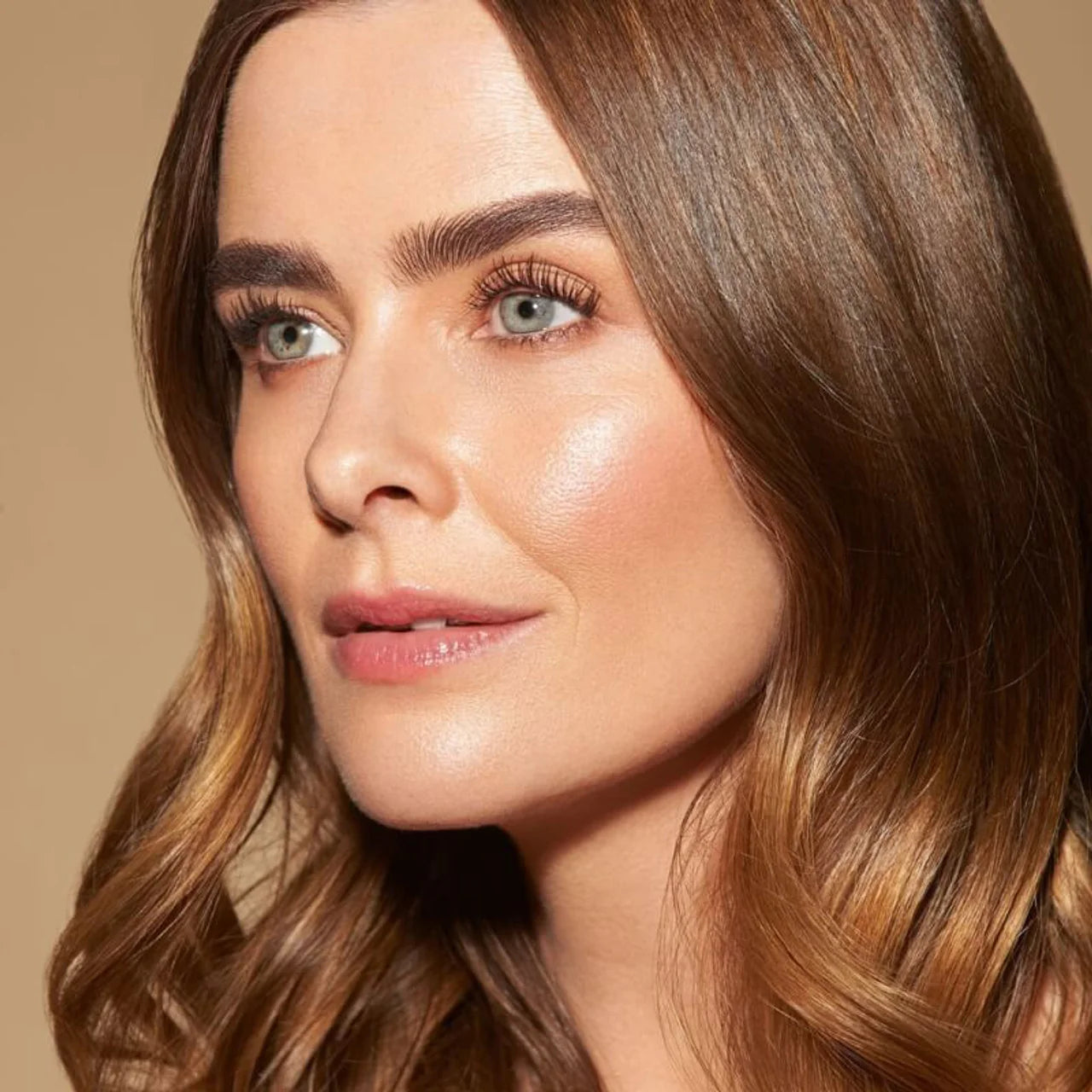Shape & Set Brow Bundle