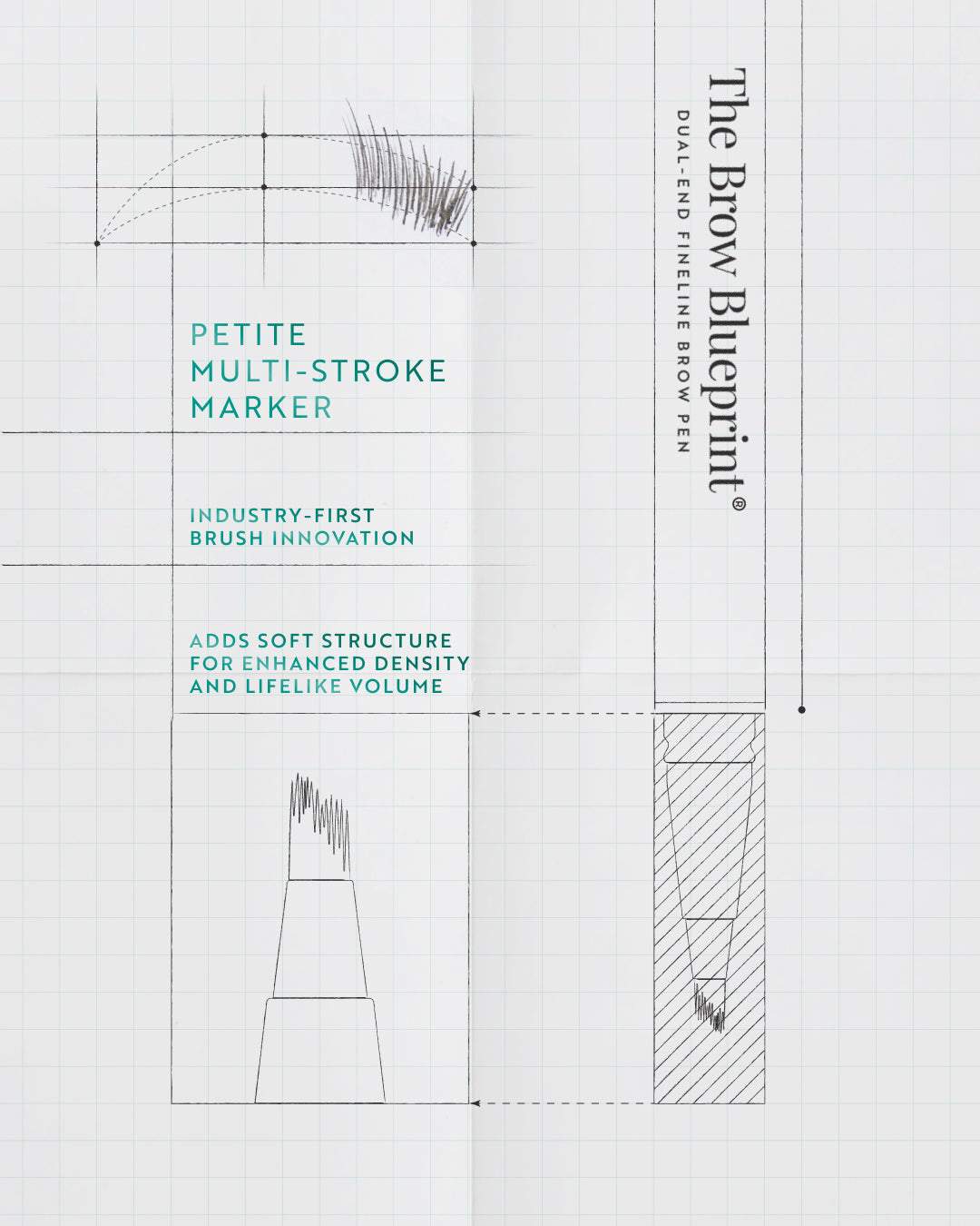 The Brow Blueprint®